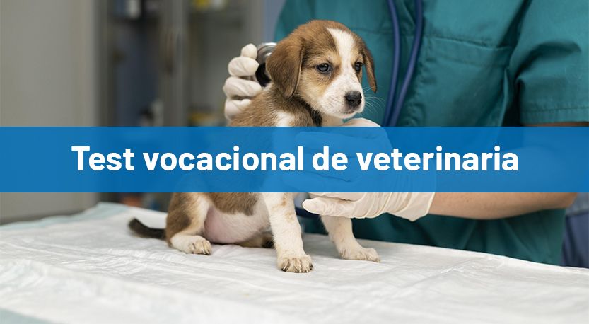 test vocacional de veterinaria